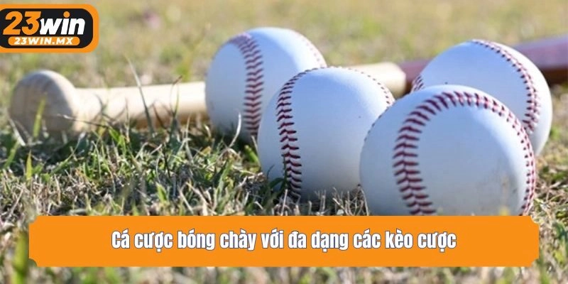 Cá cược bóng chày với đa dạng các kèo cược