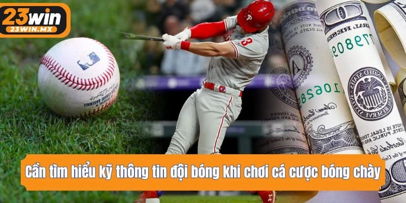 Cần tìm hiểu kỹ thông tin đội bóng khi chơi cá cược bóng chày