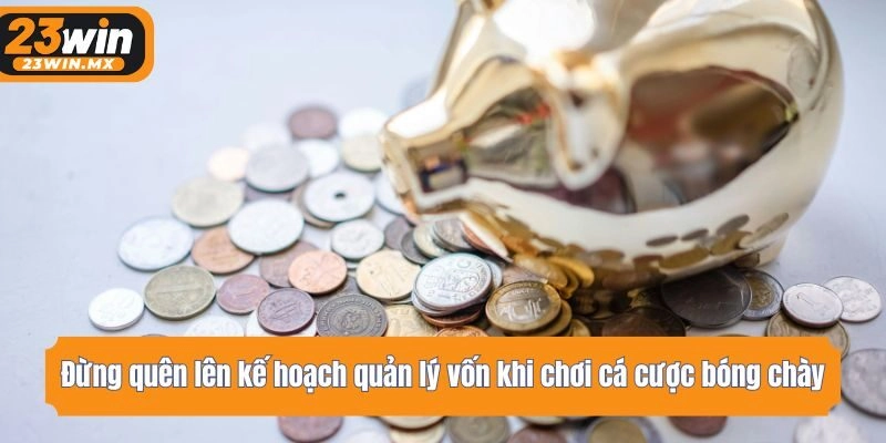 Đừng quên lên kế hoạch quản lý vốn trong khi chơi cá cược bóng chày