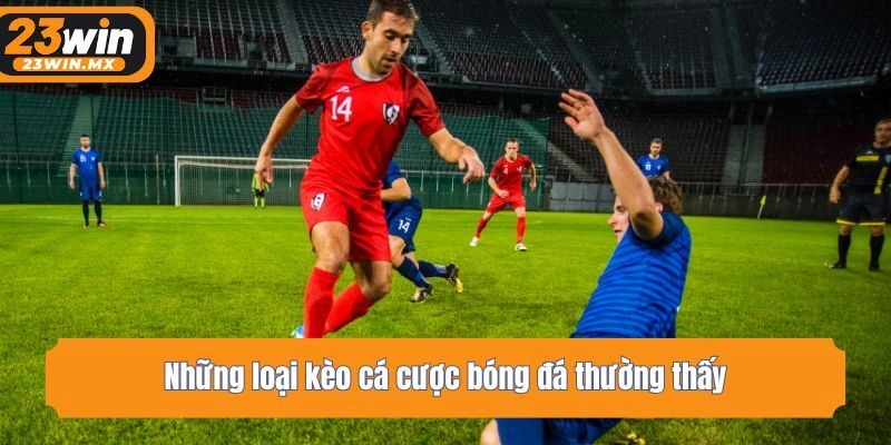 Những loại kèo cá cược bóng đá thường thấy
